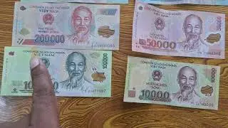 All Vietnamese Dong Banknotes