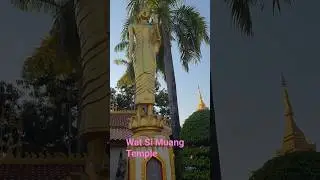 Wat Si Muang Templeວັດສີເມືອງ in Vientiane #temple #bhuddha  #prayer #laos #part2
