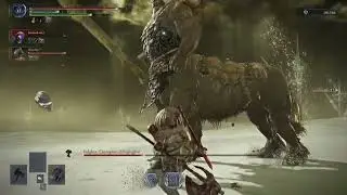 Depth 5 Everdark Fulghor with Buffed Chad Raider