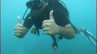 Coral reefs of Andaman & Nicobar Island in Havelock Island
