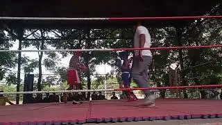 Wardha boxing championship🥊 #boxing wardha#Indian military school pulgoan#coach Rilesh urkude sir 