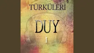 Gökten Yıldız Derseler