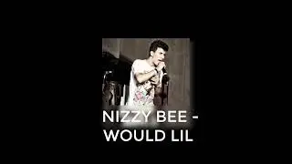 Nizzy bee - WOULD LIL