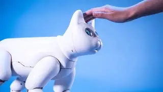Top 10 Coolest Educational Robots