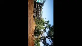 Rubble and Garden Refuse Removal