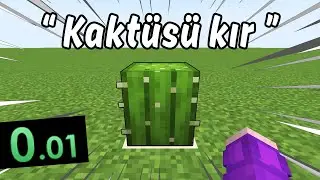 Minecraft'taki En Saçma 31 Speedrun