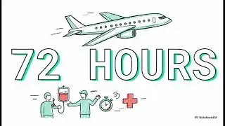 all you need to know about flight attendant manual