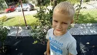 Fajny serial odc. 4 sezon 8.  Misterium majętności midenhall