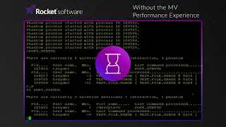 Rocket® MultiValue Performance Experience