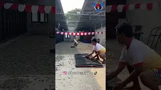 Latihan Pacekan Utama #bandar_pigeon_farm