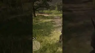 Body’s went flying Red Dead 2#reddeadredemption