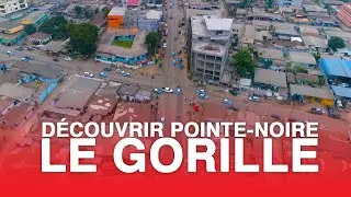 D&eacute;couvrir Pointe-Noire : Le Gorille | R&eacute;publique du Congo &ndash; Afrique Centrale