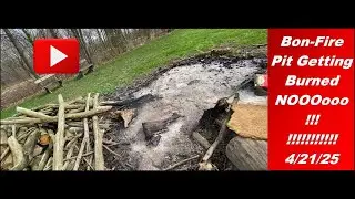 01 Daily Talk and Friesian Horse Chores 04 21 25