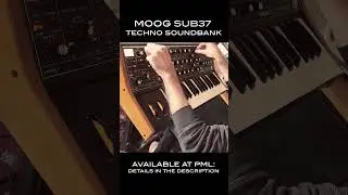 PML Moog Sub/Subsequent 37 Soundbank Recording. ATM - Offset #shorts
