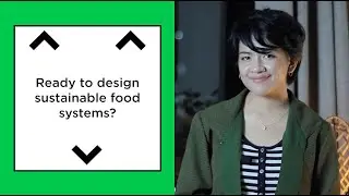 How to create sustainable food systems | C40 Cities & Minecraft Education