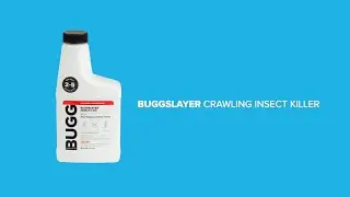 BUGGSLAYER insecticide 8oz CRAWLING INSECT concentrate