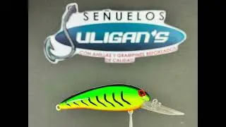 Presentamos el NUEVO catálogo de los SEÑUELOS JULIGAN’S