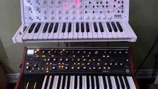 Moog Sub 37 and Korg MS-20 FS - Analog Bassline