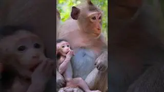 Adorable Baby Baxter With Mum Brighten