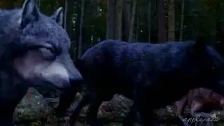 Paul Lahote/OC twilight fanfiction trailer (Save me)