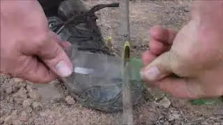 Step by Step Chip Budding - Frank P Matthews