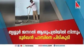 തൃശ്ശൂര്&zwj; ജനറല്&zwj; ആശുപത്രിയില്&zwj; നിന്നും മൂര്&zwj;ഖന്&zwj; പാമ്പിനെ പിടികൂടി | NCTV NEWS