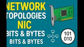 Networking Fundamentals &ndash; Topologies, NIC, Bit vs Byte | Beginner Friendly Tutorial