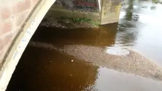 Stockport Hydro River Goyt Otterspool