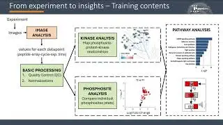 PamGene Data Analysis Training 4 of 5 &ndash; Kinase Analysis