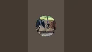 Janak kumar is live