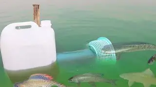 Creative Fish Trap | Build Fish Trap Using Blue Pipe And Plastic Bottle