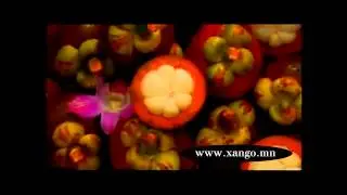 XanGo / Business Operation / in Mongolia