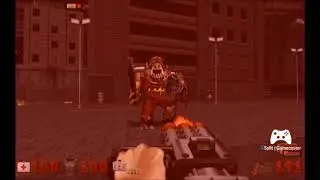 pigboss
