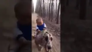 Baby riding cheetah/dog meme free to use