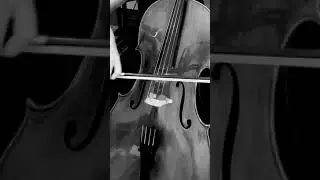 Wednesday am Wednesday! 😎✨🎻 #cello #wednesday #cover #cellocover #music #filmmusik