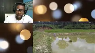 Pourquoi asocié riz et poisson