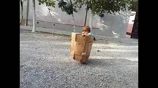 26 сентября 2025 г.