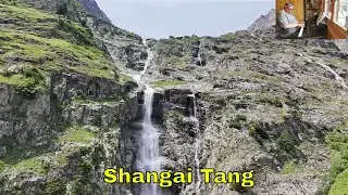 Shangai Tang - Frances Yip - Yamaha Genos