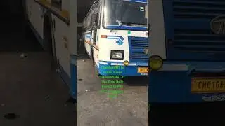 Chandigarh43 To Patiala Mansa Talwandi Sabo | 43 Bus Stand Daily Route 2:50 PM | CTU | Chandigarh