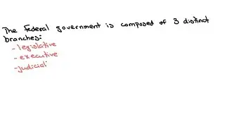 What is the basic structure of the U.S. government?
