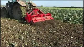 Concept Perugini SFBio Biofr&auml;se