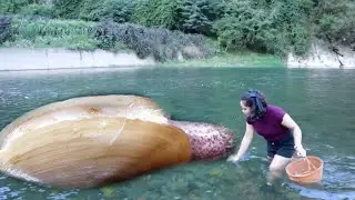 🥰🔮 Girl's Pearl Journey: 1100 Year Old Mother Clams and Giant Pearls Caught from Beautiful Lake