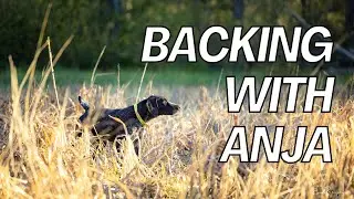 Working on backing with Anja - Iron Oak Dog Co.