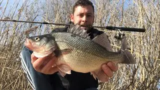 THROWBACK February 2020: My biggest White Perch!
