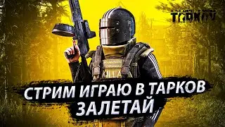 93# /59LV/ФАРМ ДЕНЕГ/КАППА/ЧИТАЮ ЧАТ/ Escape From Tarkov /EFT/ СТРИМ.