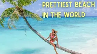 Ultimate remote island escape; sharks, beaches, & friends  [ep 191]