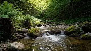 Soothing Green Stream Flow &ndash; Forest River Ambience for Relaxation, Reading & Inner Peace (Looped)