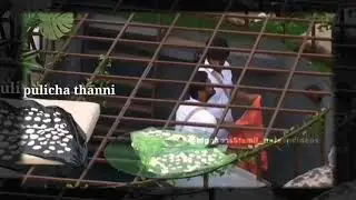 ciby abhinay jetty comedy 🤣🤣 Biggboss 5 Tamil unseen videos #biggbosstamil #biggboss5 #vijaytv