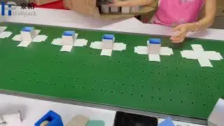 Inside a Modern Paper Box Production Line & Carton Labeling Automation