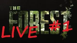 Multiplayer (CO-OP) The Forest (UPDATE)(V0.63b) LIVE #1